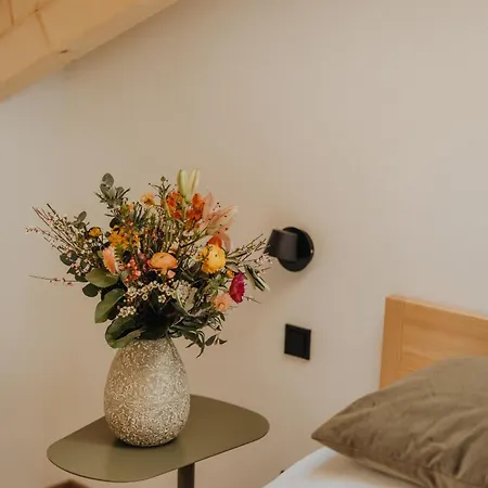 Hofstatt Salzburg - * Sollheim